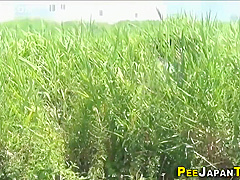Astonishing Porn Video Stockings Newest , Its Amazing