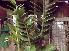 Babe dp gangbanged in public bar
