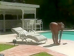 Back to Melrose Place 3