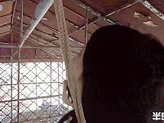Battlefield 2020 Bondage