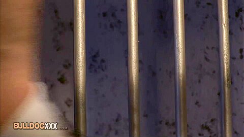 BullDogXXX com - 36021