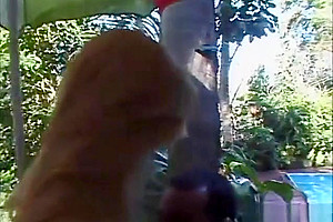 Busty blonde TS doggystyled outdoor