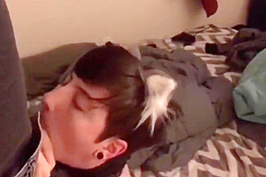 Collared & Throat Stuffed Ftm Kitten