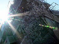 Exotic Japanese model in Incredible Amateur, HD JAV clip