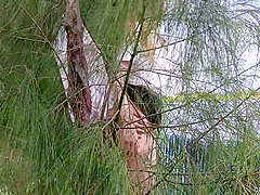 Filming A Video Of A student 18+ Having Sex Outdoors