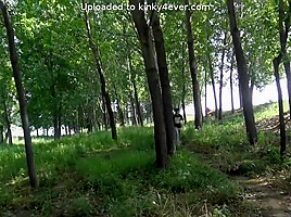 Forest Tied Up