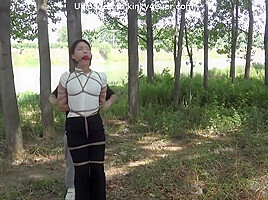 Forest Tied Up