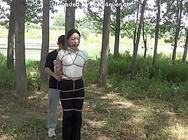 Forest Tied Up