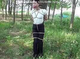 Forest Tied Up