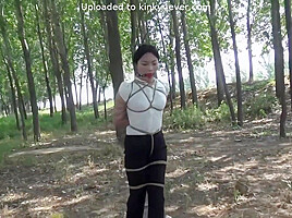 Forest Tied Up