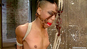 Forward Bent Ebony Lesbian On Hogtie