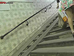 Free upskirt videos demonstrate a chubby woman
