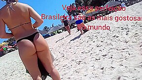 Gatas brasileiras