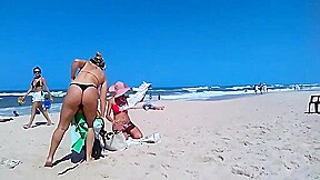 Gatas brasileiras