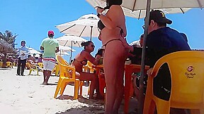 Gatas brasileiras