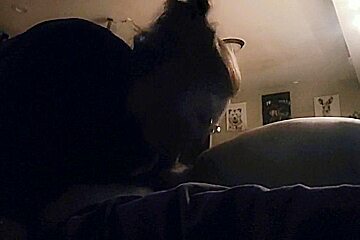 Giving Head Before Bed