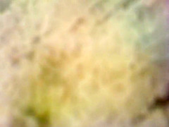 Great Showers Scene Exclusive Version