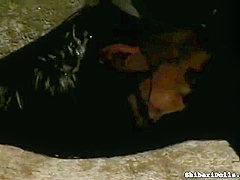 Horny Xxx Video Bondage Exclusive Pretty One