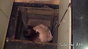 Into The Attic2