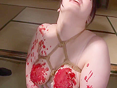 Japanese Wife Bound Slave