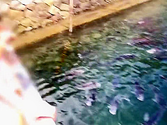 QZUUTOIYRFXIBPACRYSSIS-565