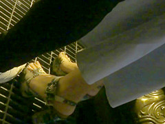 Sexy Arabian Feet In High Heels