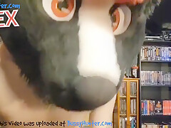 Sniff The Musky Skunk