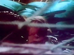 Spider And The Fly Lesbian Scene