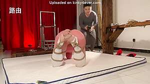 Training Asian Pet Play