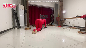 Training Asian Pet Play