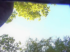 Upskirt Black Lace Thong Step mom