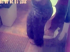 in restaurant female toilet