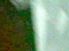 my neighbor 2